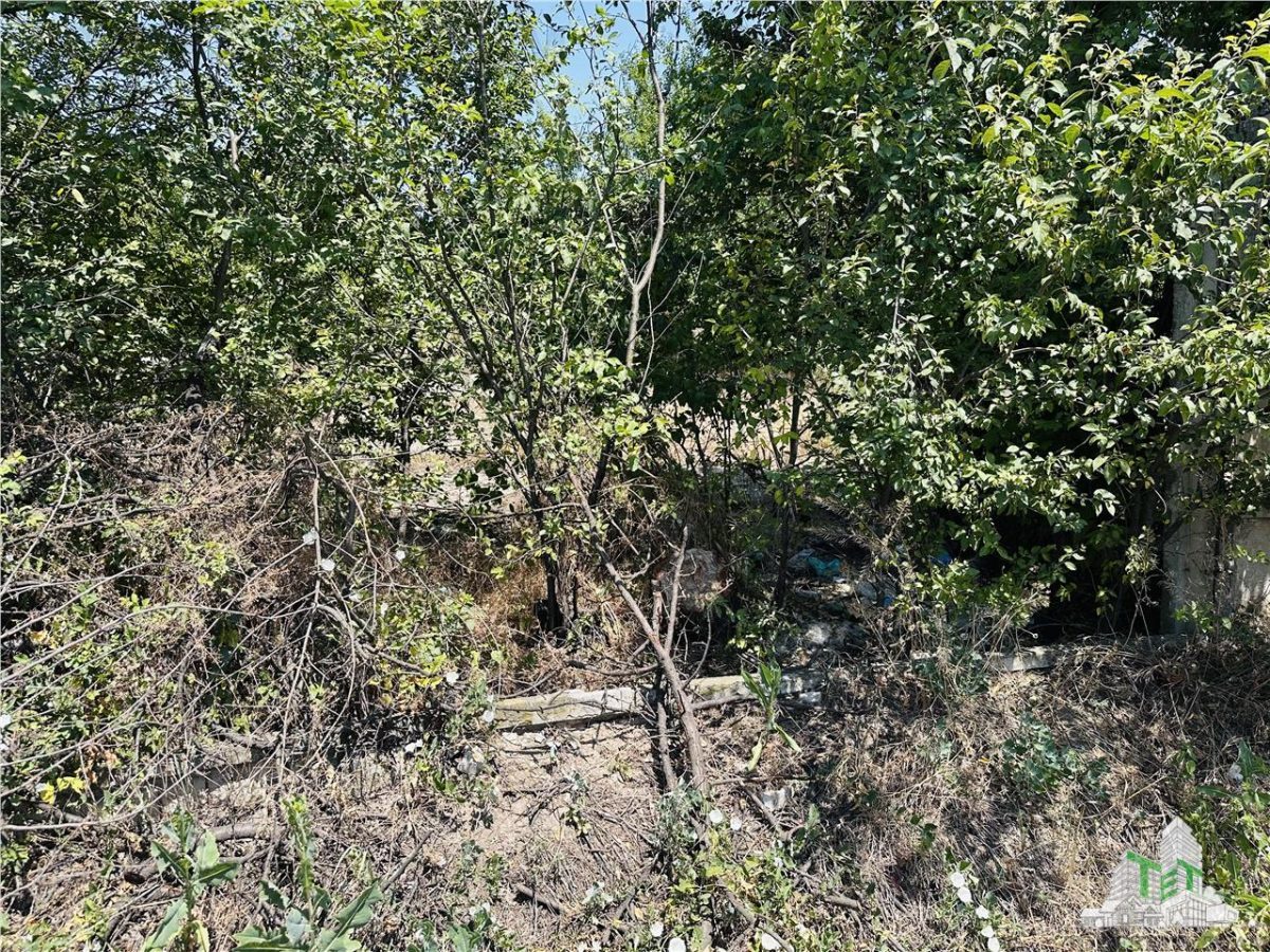 TEREN STRADAL GIULESTI, 50000 mp, la asfalt, intravilan, toate utilitatile, pentru INVESTITORI - foto 7