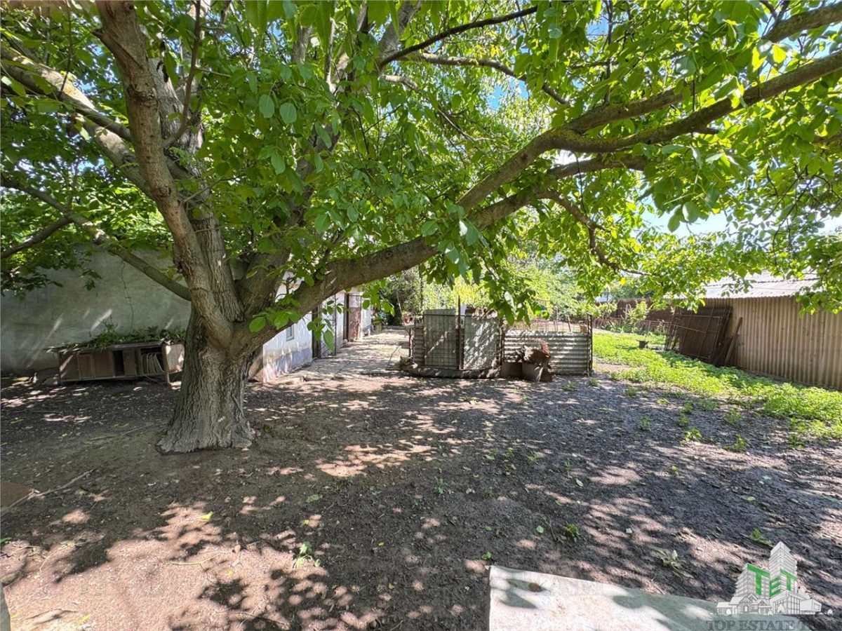 Casa de vanzare - Movilita, jud. Ialomita - 2000 mp teren, proprietate la bulevard - foto 6