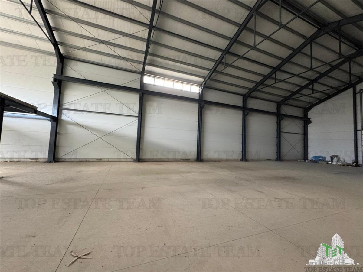 Hala - Maracineni - Buzau - vanzare - foto 8