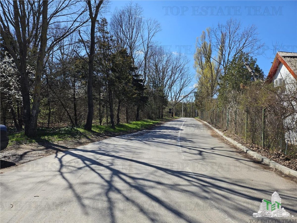 TEREN INTRAVILAN 24100 MP AGIGEA - foto 4