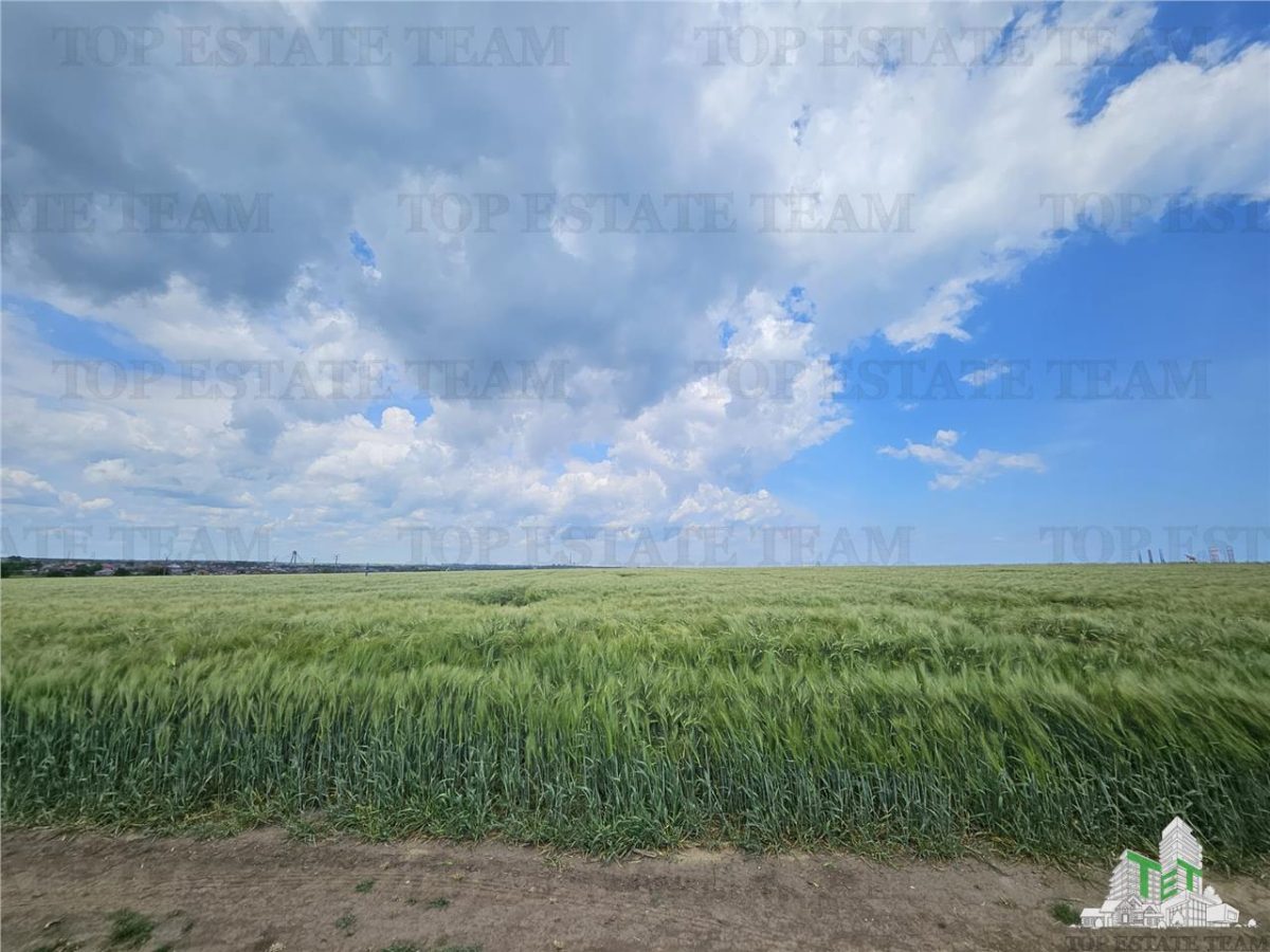 TEREN INTRAVILAN 50000 MP AGIGEA ZONA RO RO - foto 2