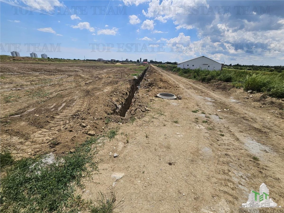 TEREN INTRAVILAN 50000 MP AGIGEA ZONA RO RO - foto 5