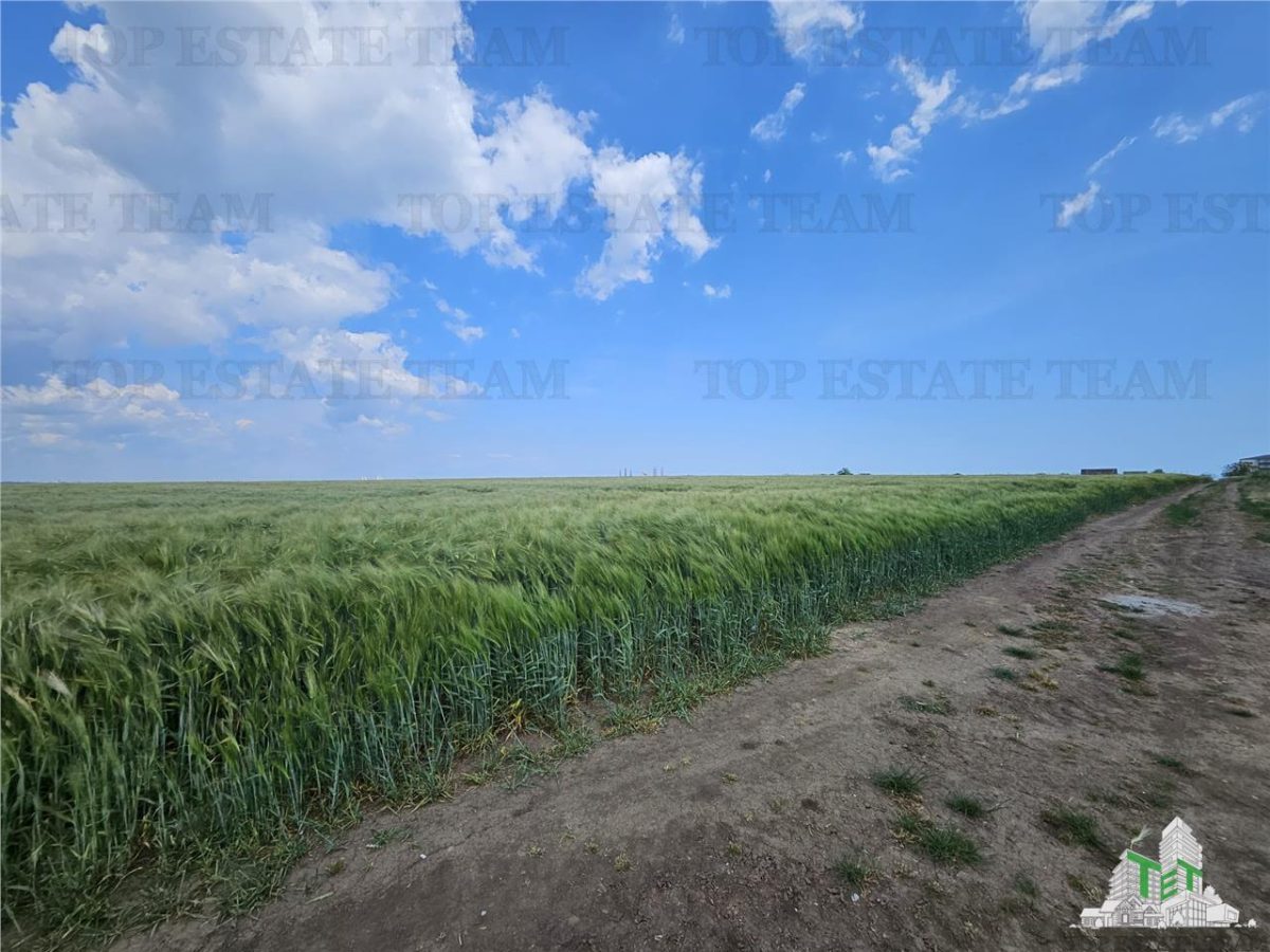 TEREN INTRAVILAN 50000 MP AGIGEA ZONA RO RO - foto 6