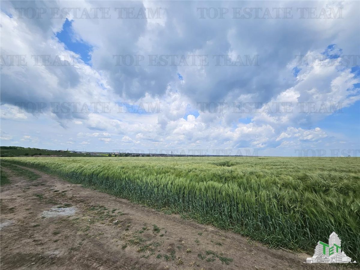 TEREN INTRAVILAN 50000 MP AGIGEA ZONA RO RO - foto 7