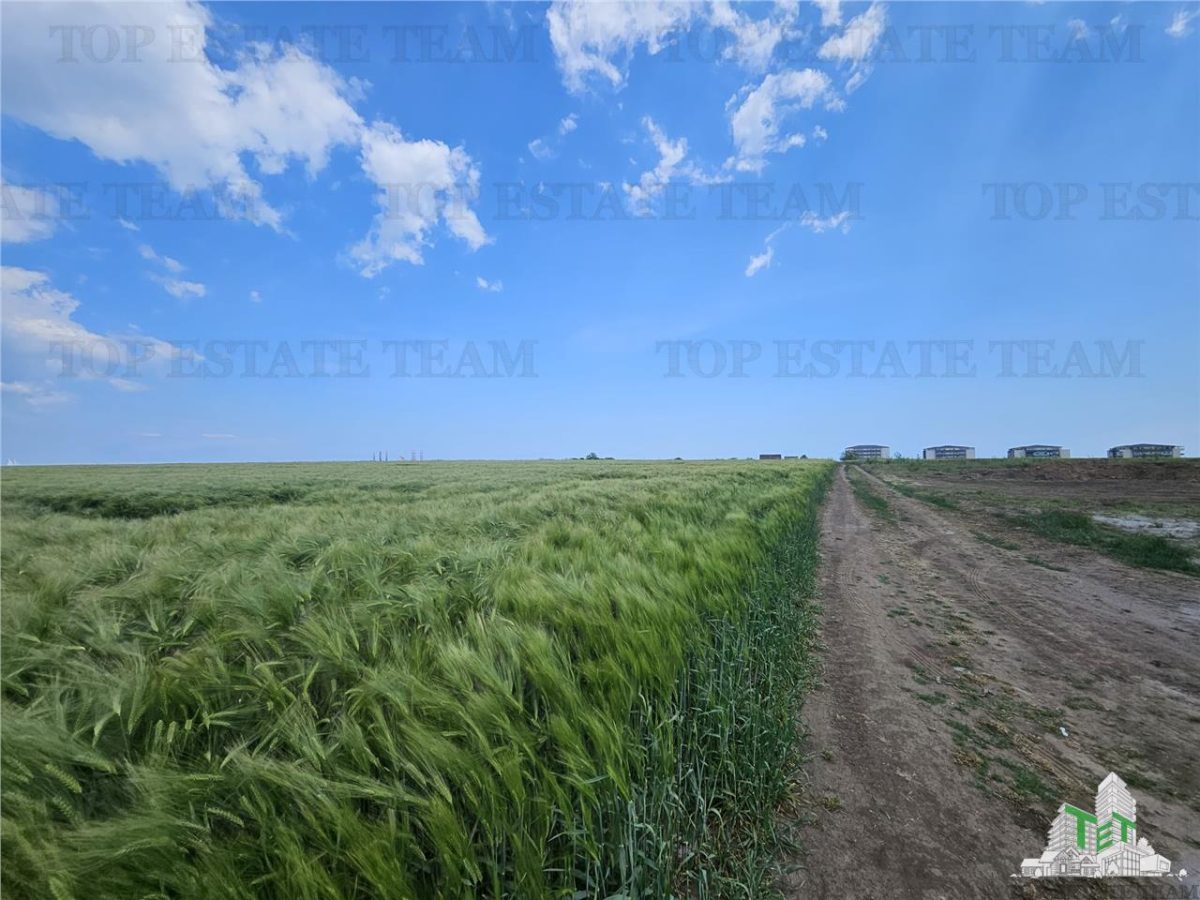 TEREN INTRAVILAN 50000 MP AGIGEA ZONA RO RO - foto 8