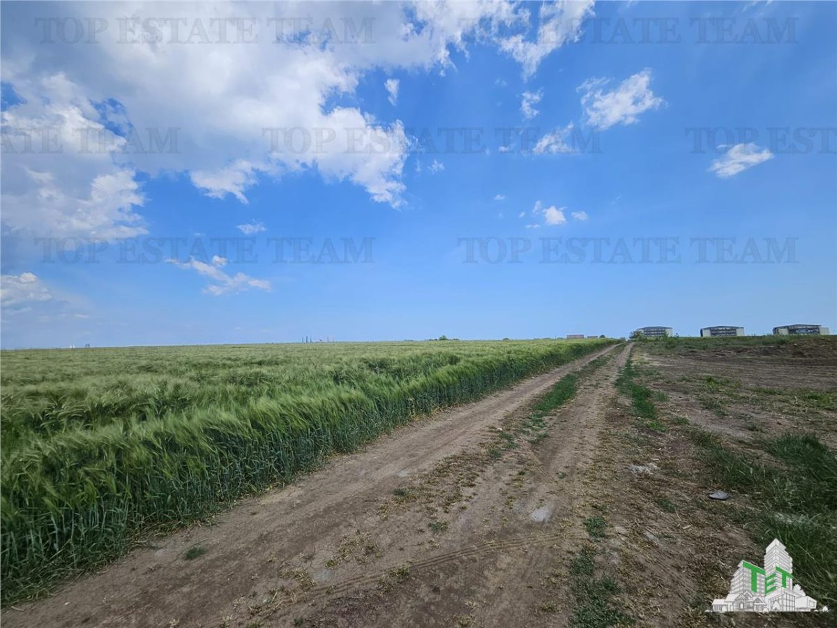 TEREN INTRAVILAN 50000 MP AGIGEA ZONA RO RO - foto 9