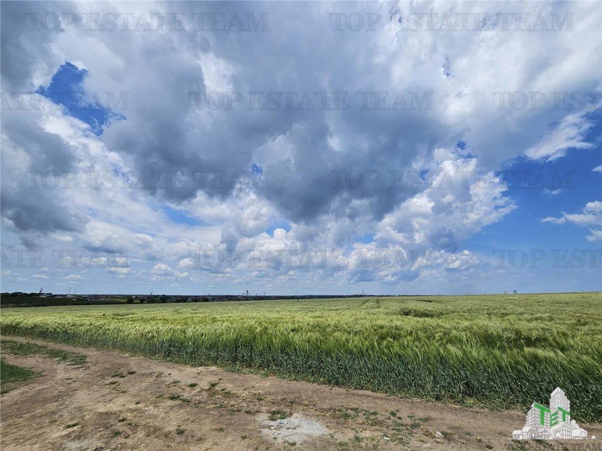 TEREN INTRAVILAN 50000 MP AGIGEA ZONA RO RO - foto 10