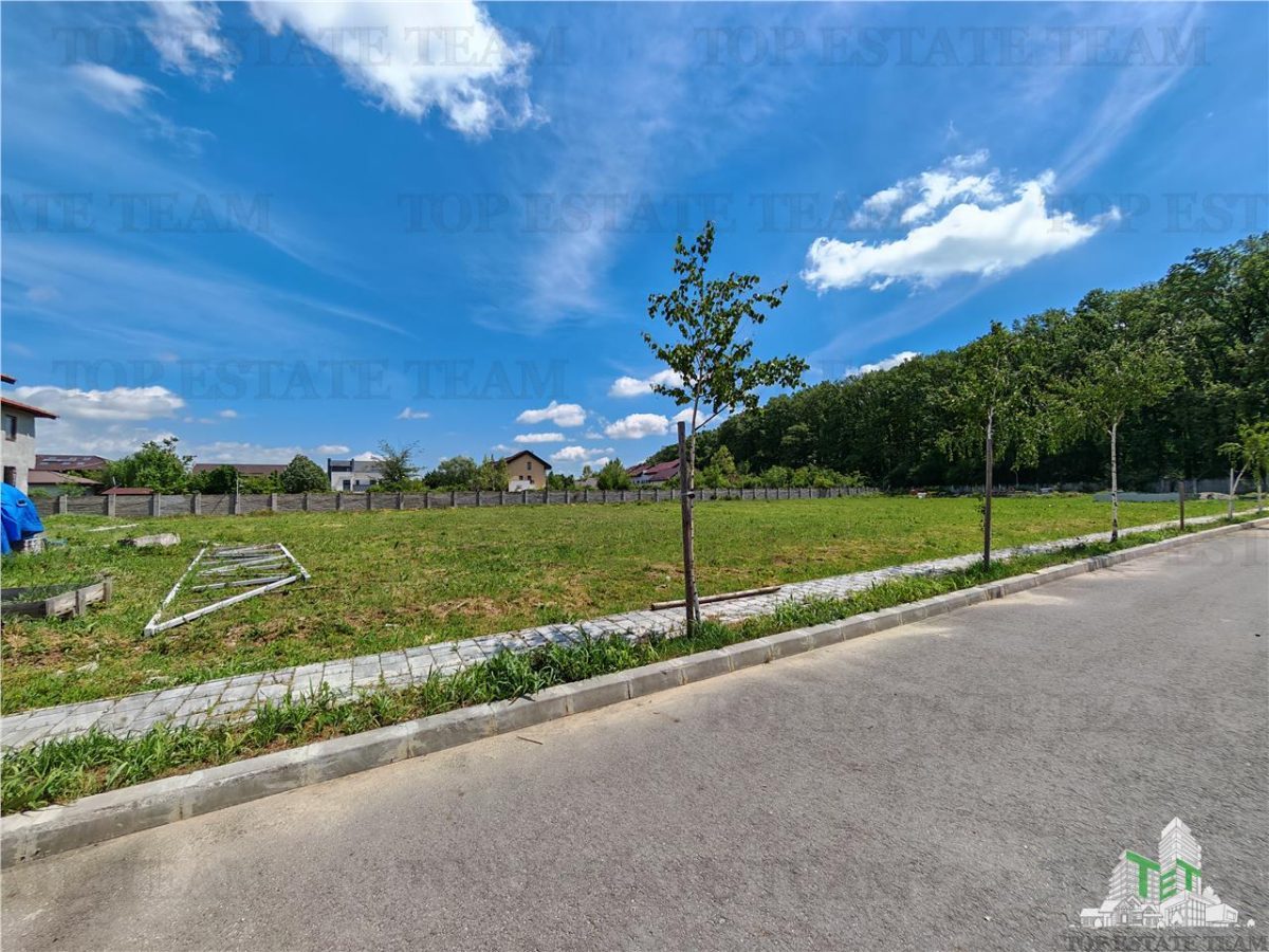 Teren constructii in proximitatea Padurii Corbeanca - Corbeanca