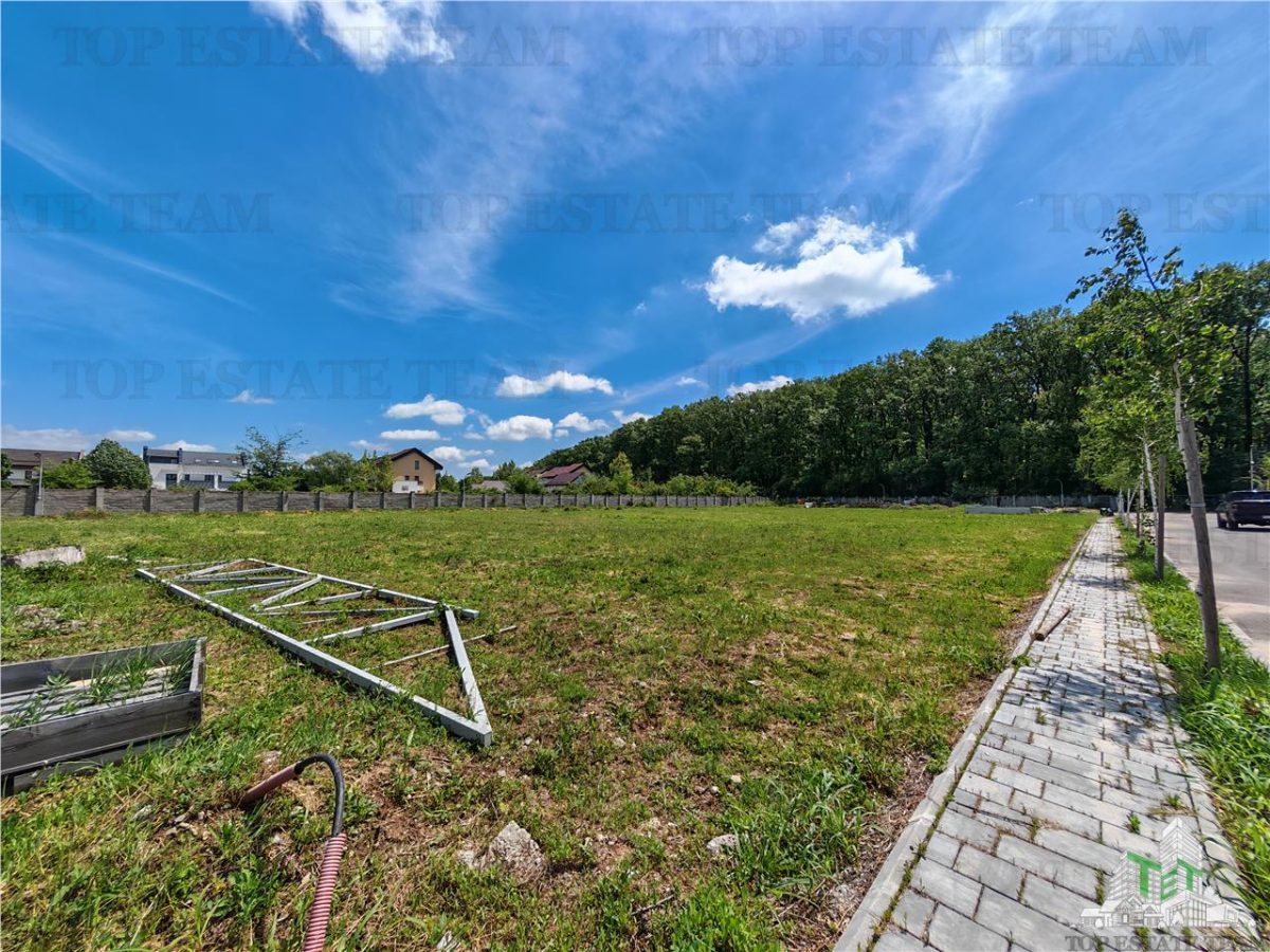 Teren constructii in proximitatea Padurii Corbeanca - foto 2