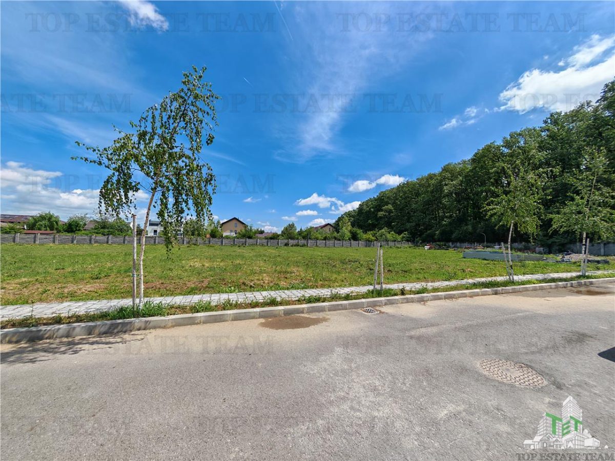Teren constructii in proximitatea Padurii Corbeanca - foto 3