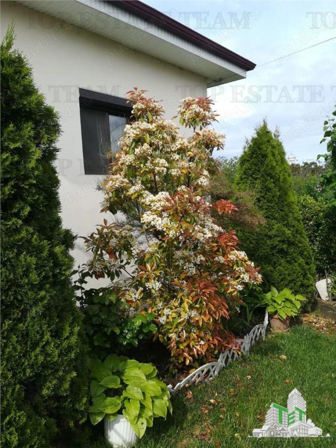 Casa individuala cu 4 camere in Corbu Constanta liniste natura mare si lac - foto 2