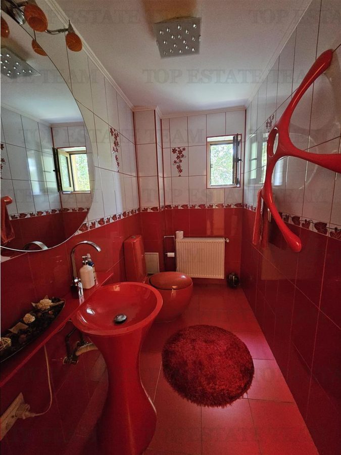 Vila lux 5 camere cu gradina superba centru Domnesti - foto 18