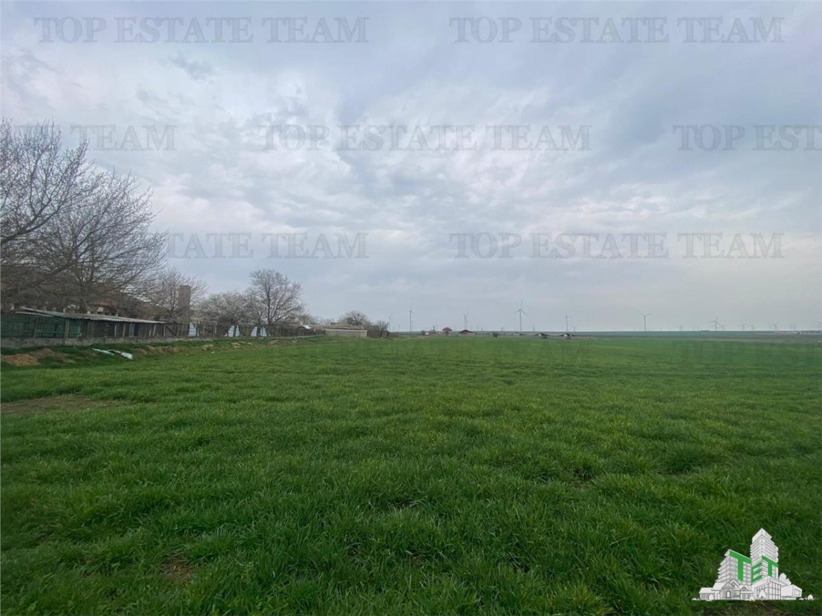 TEREN INTRAVILAN 444M SCHITU - 