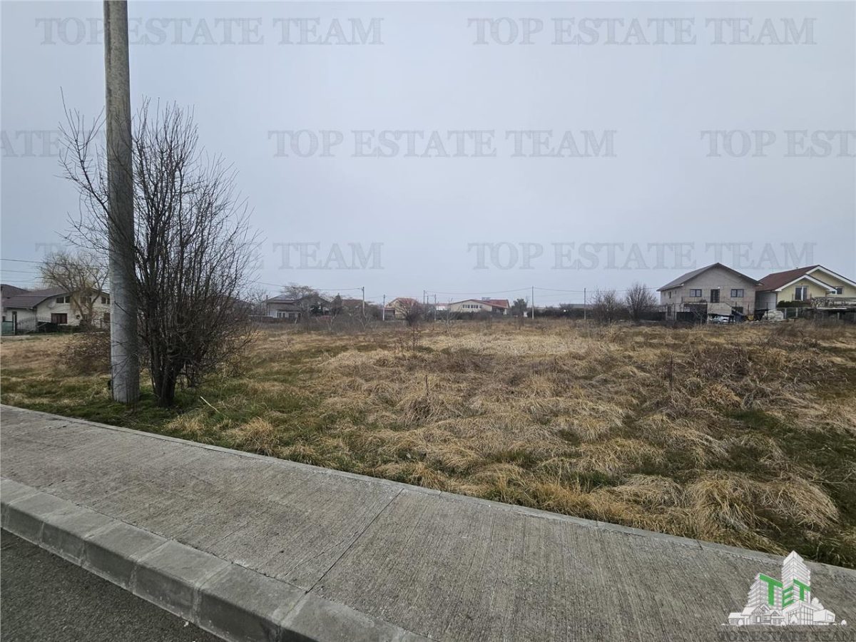 TEREN INTRAVILAN 1000 MP COSTINESTI - 