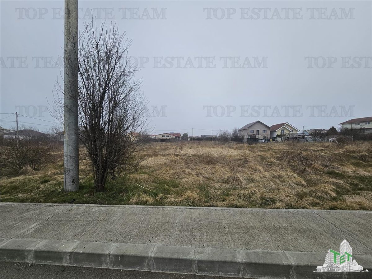 TEREN INTRAVILAN 1000 MP COSTINESTI - foto 3