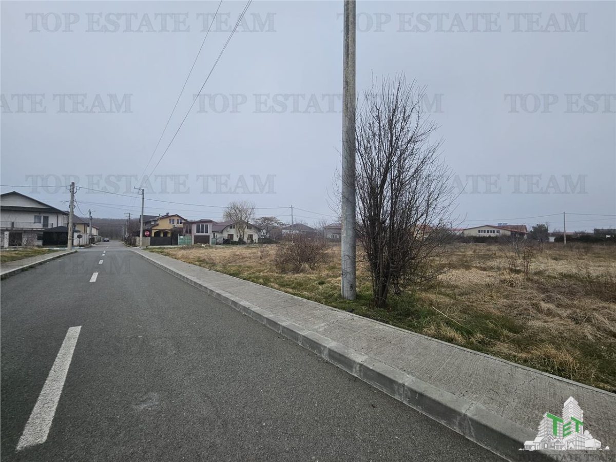 TEREN INTRAVILAN 1000 MP COSTINESTI - foto 4