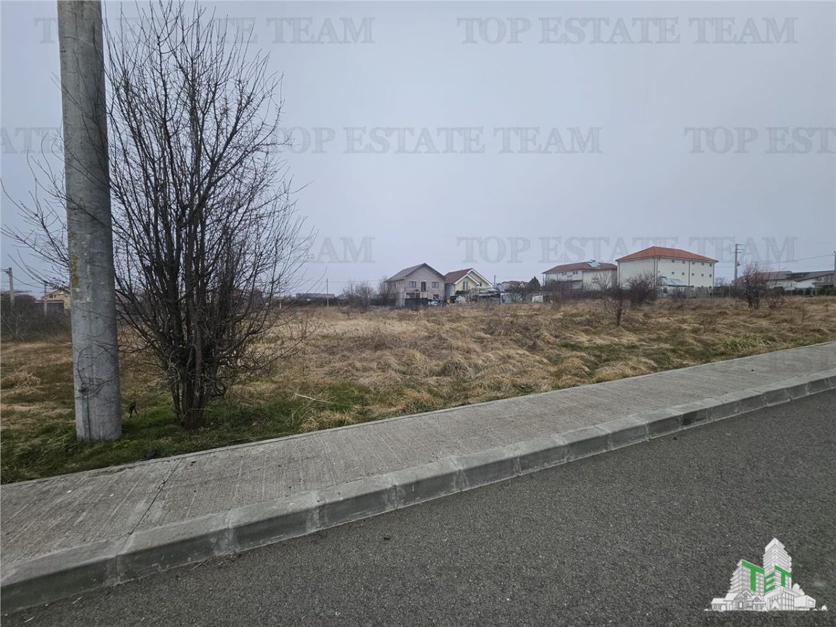 TEREN INTRAVILAN 1000 MP COSTINESTI - foto 5