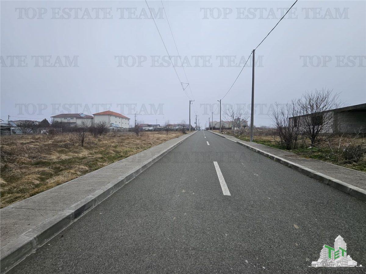 TEREN INTRAVILAN 1000 MP COSTINESTI - foto 6