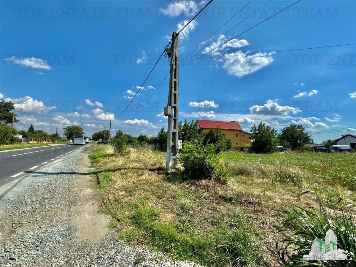Teren stradal de vanzare in Calarasi / Frumusani - foto 3