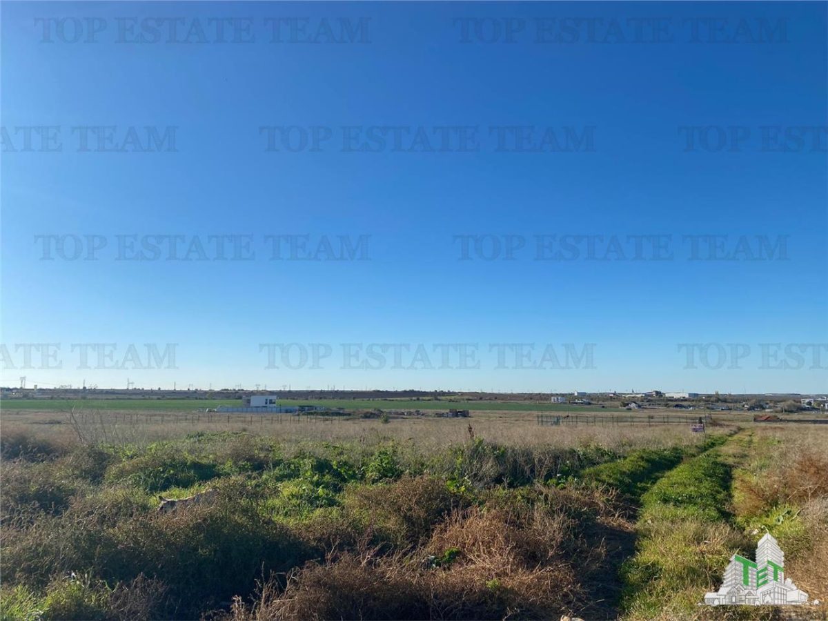 TEREN INTRAVILAN CONSTRUIBIL ZONA BOREAL - foto 2