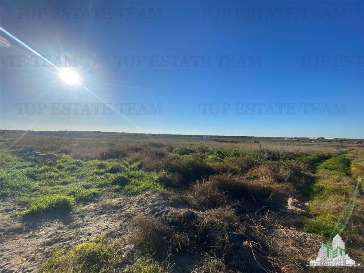 TEREN INTRAVILAN CONSTRUIBIL ZONA BOREAL - foto 4