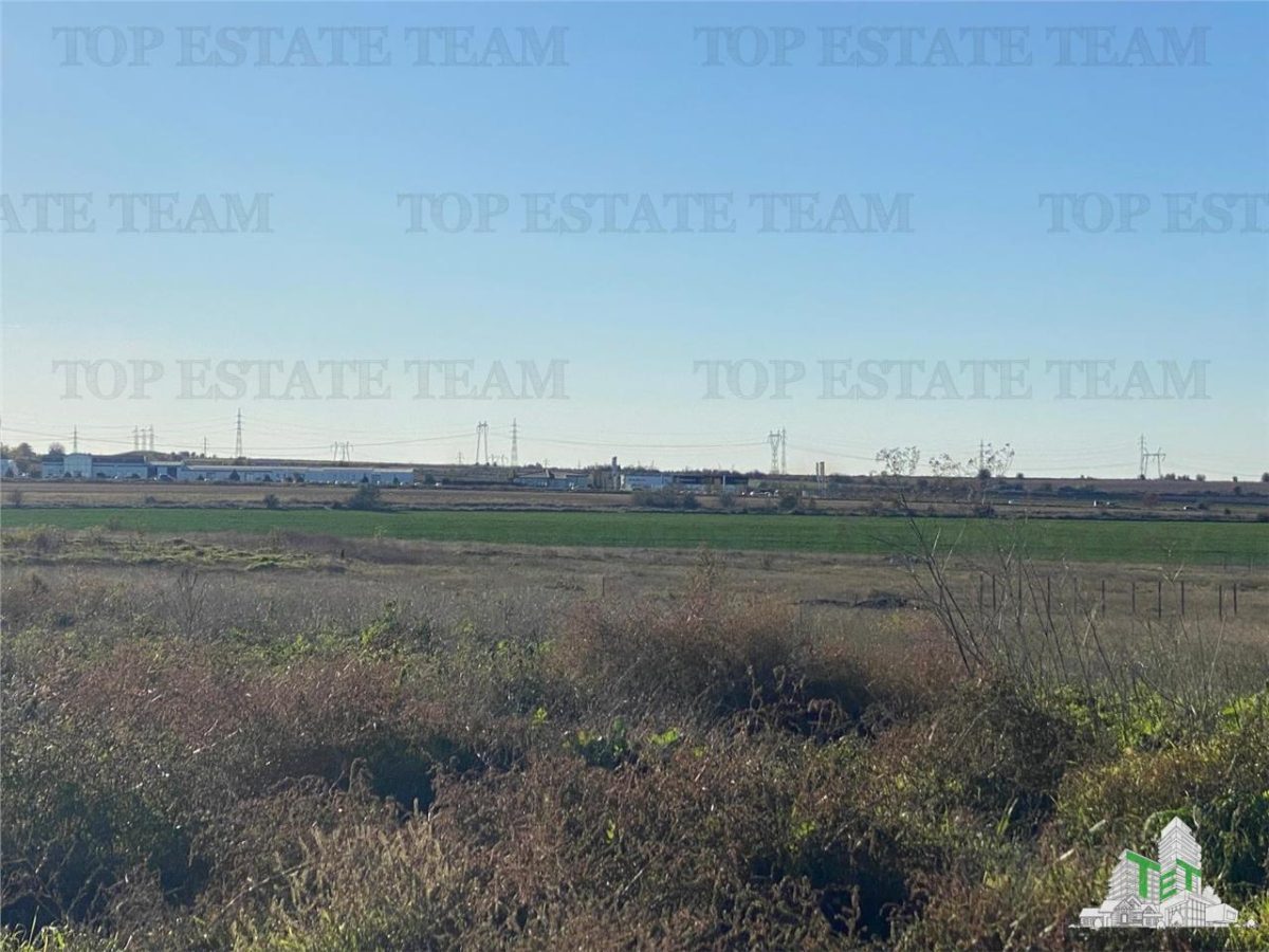 TEREN INTRAVILAN CONSTRUIBIL ZONA BOREAL - foto 2