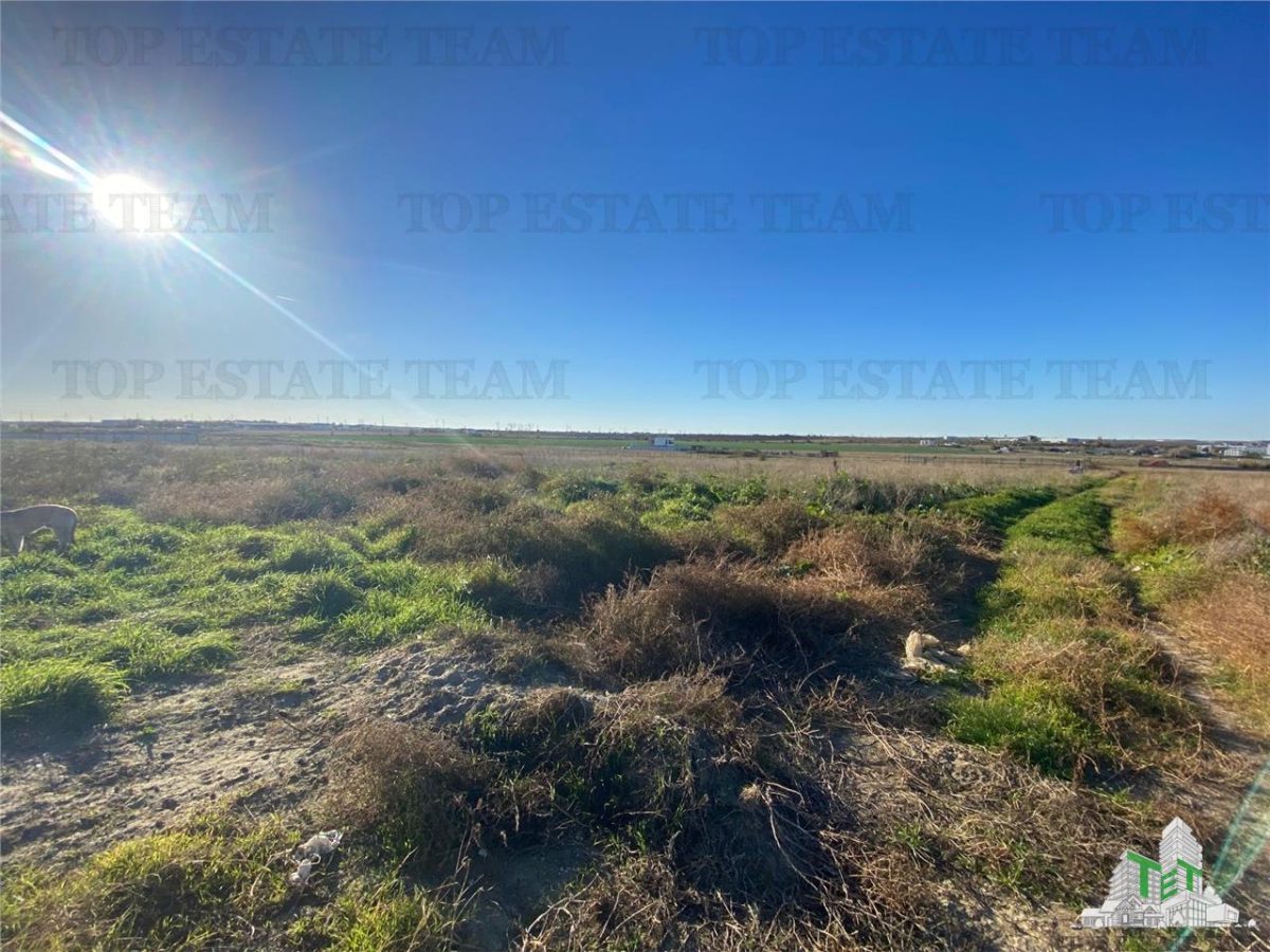 TEREN INTRAVILAN CONSTRUIBIL ZONA BOREAL - foto 3