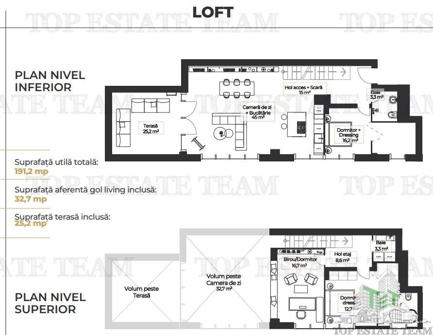 Duplex Loft de vanzare in zona Aviatiei - foto 9