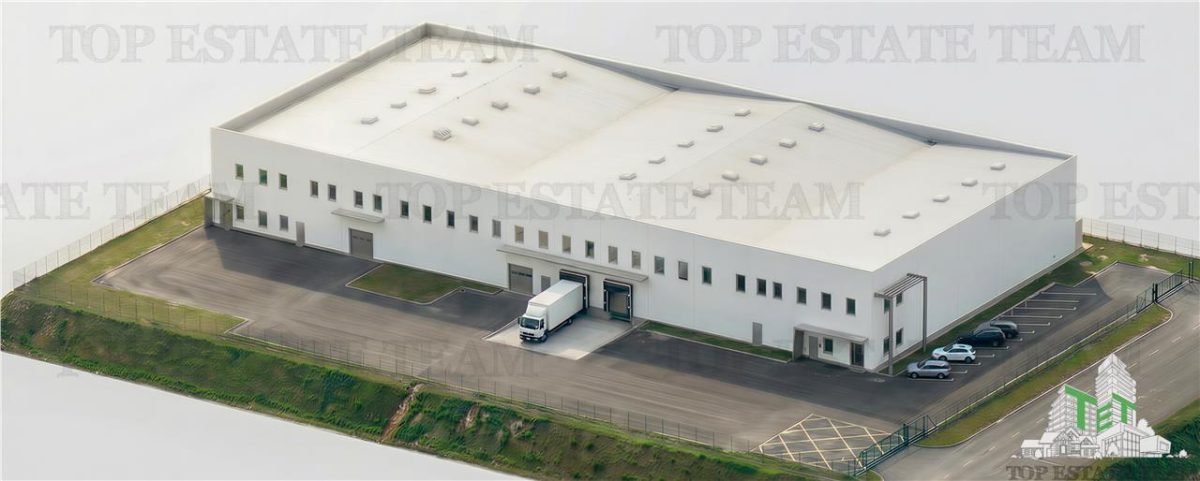 Hala Industriala Balotesti - Spatiu Generos si Accesibilitate Excelenta - foto 2