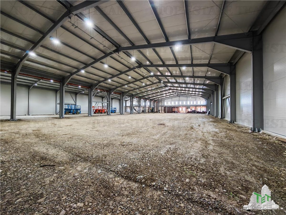 Hala Industriala Balotesti - Spatiu Generos si Accesibilitate Excelenta - foto 4