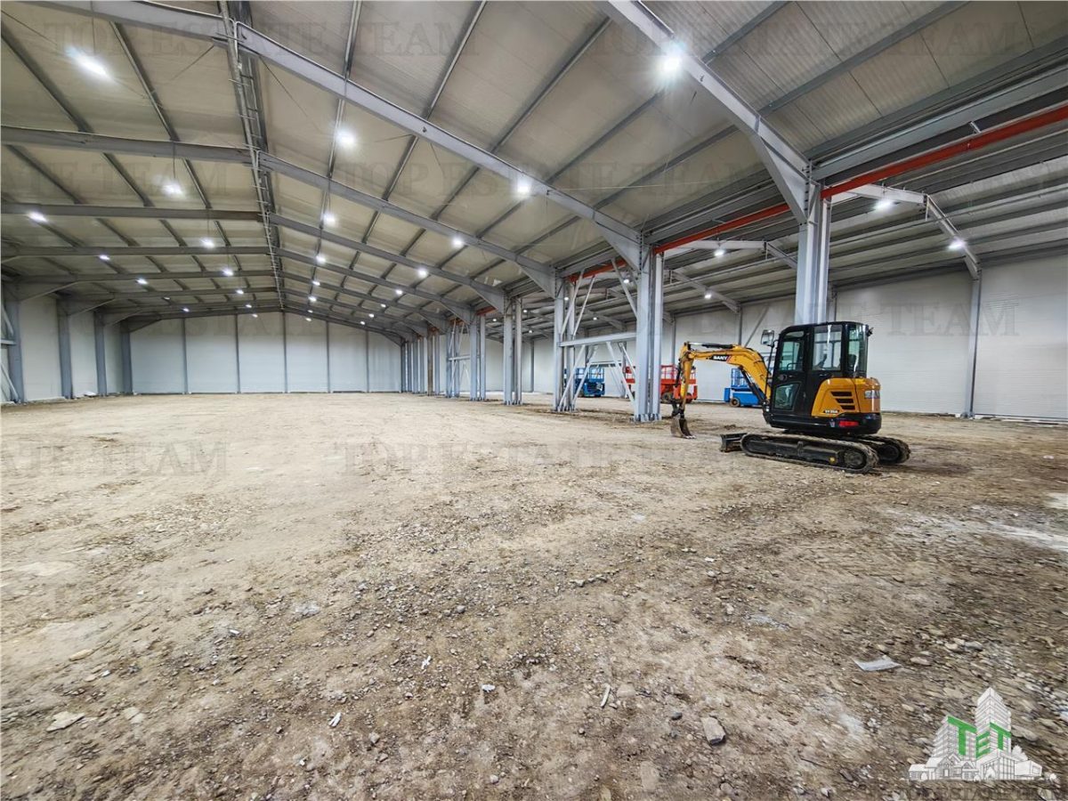 Hala Industriala Balotesti - Spatiu Generos si Accesibilitate Excelenta - foto 5