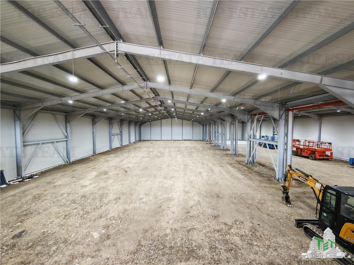 Hala Industriala Balotesti - Spatiu Generos si Accesibilitate Excelenta - foto 6