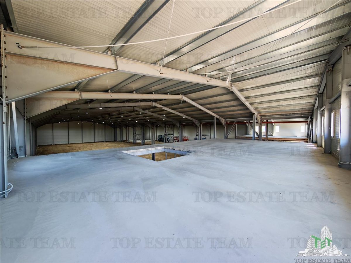 Hala Industriala Balotesti - Spatiu Generos si Accesibilitate Excelenta - foto 7