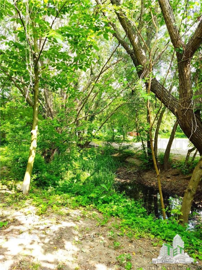 Vila 7 camere- 300 mpu+ curte 2000 mp- Giulesti- Sector 6 - foto 3