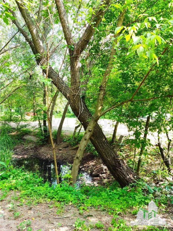 Vila 7 camere- 300 mpu+ curte 2000 mp- Giulesti- Sector 6 - foto 6