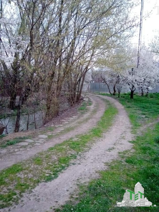 Vila 7 camere- 300 mpu+ curte 2000 mp- Giulesti- Sector 6 - foto 8