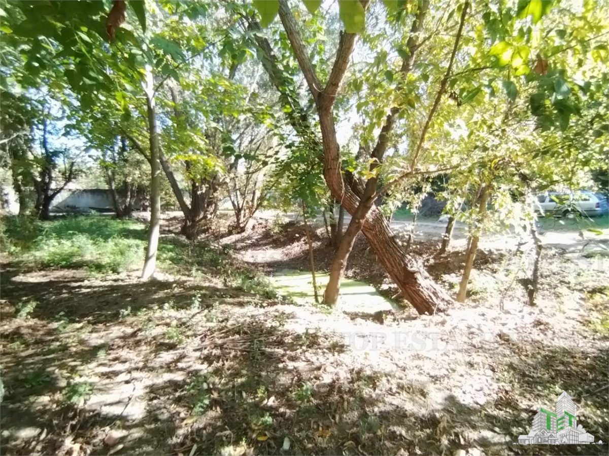 Vila 7 camere- 300 mpu+ curte 2000 mp- Giulesti- Sector 6 - foto 9