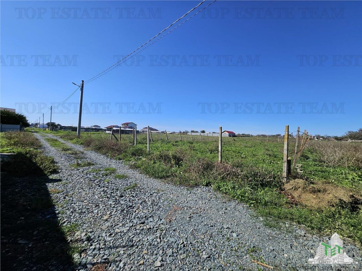 TEREN 500 MP COSTINESTI ZONA CASA BARINA - 