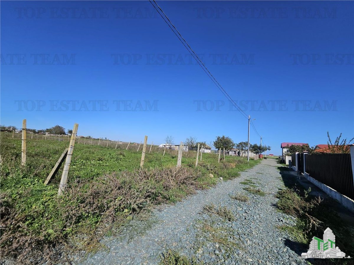 TEREN 500 MP COSTINESTI ZONA CASA BARINA - foto 2