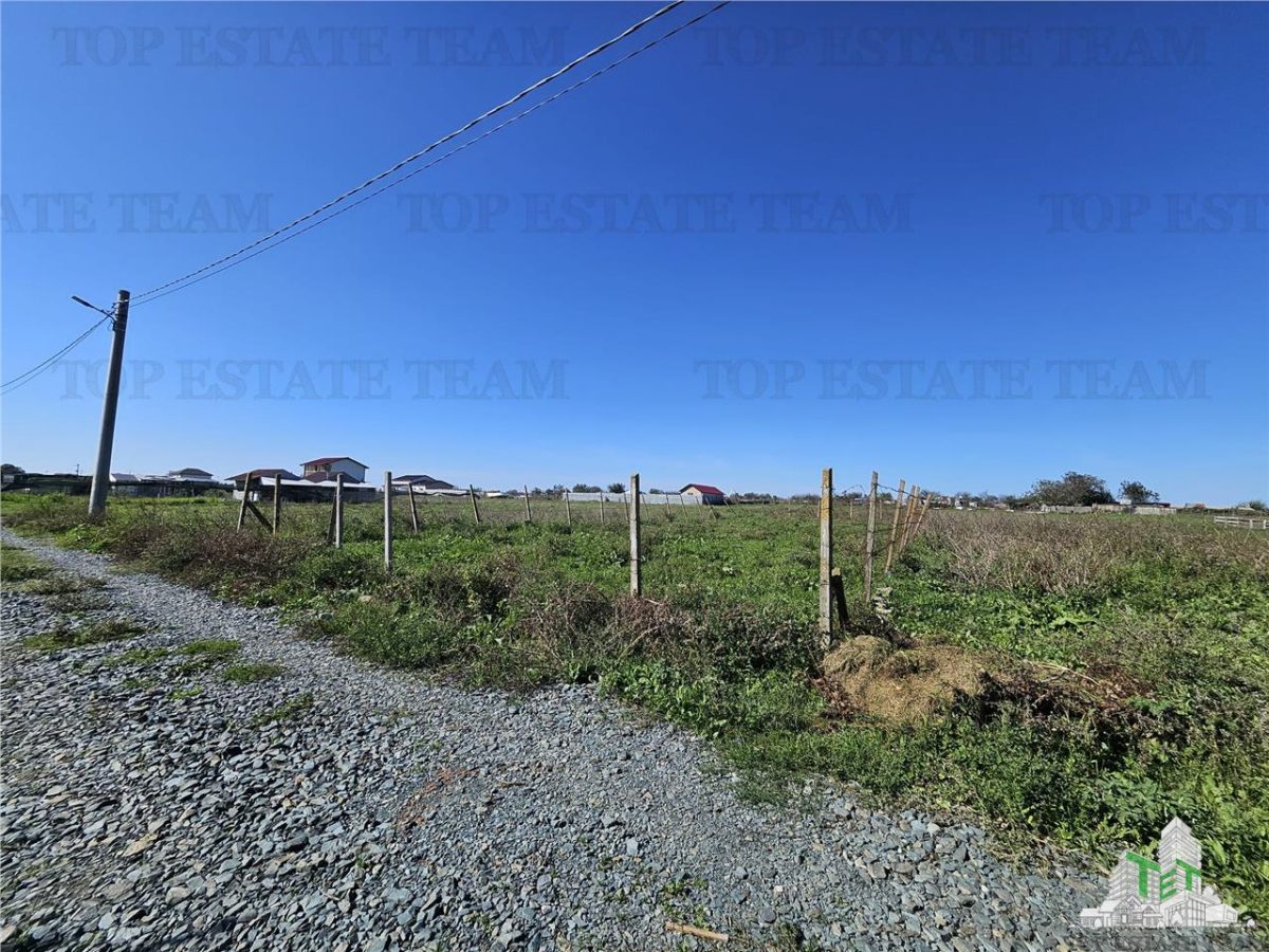 TEREN 500 MP COSTINESTI ZONA CASA BARINA - foto 3