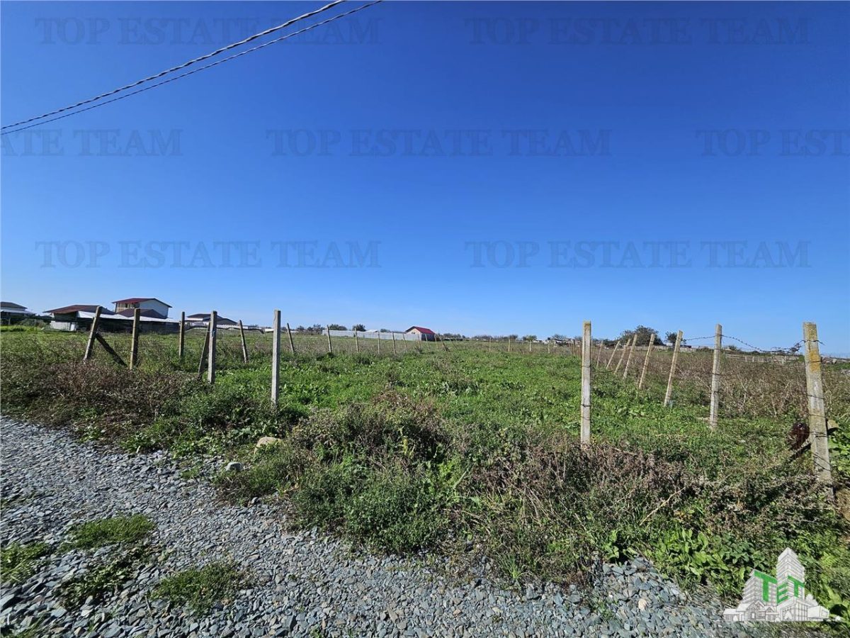 TEREN 500 MP COSTINESTI ZONA CASA BARINA - foto 4