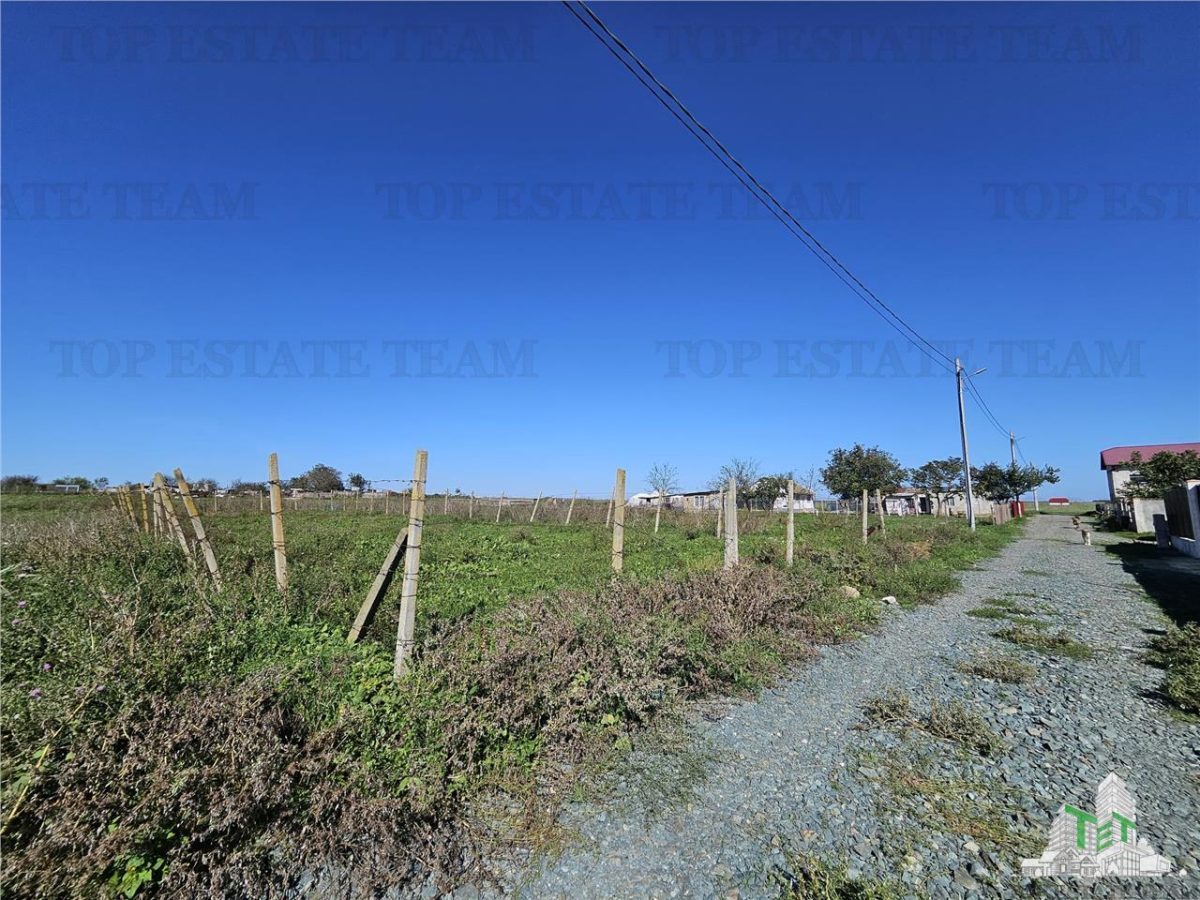 TEREN 500 MP COSTINESTI ZONA CASA BARINA - foto 5