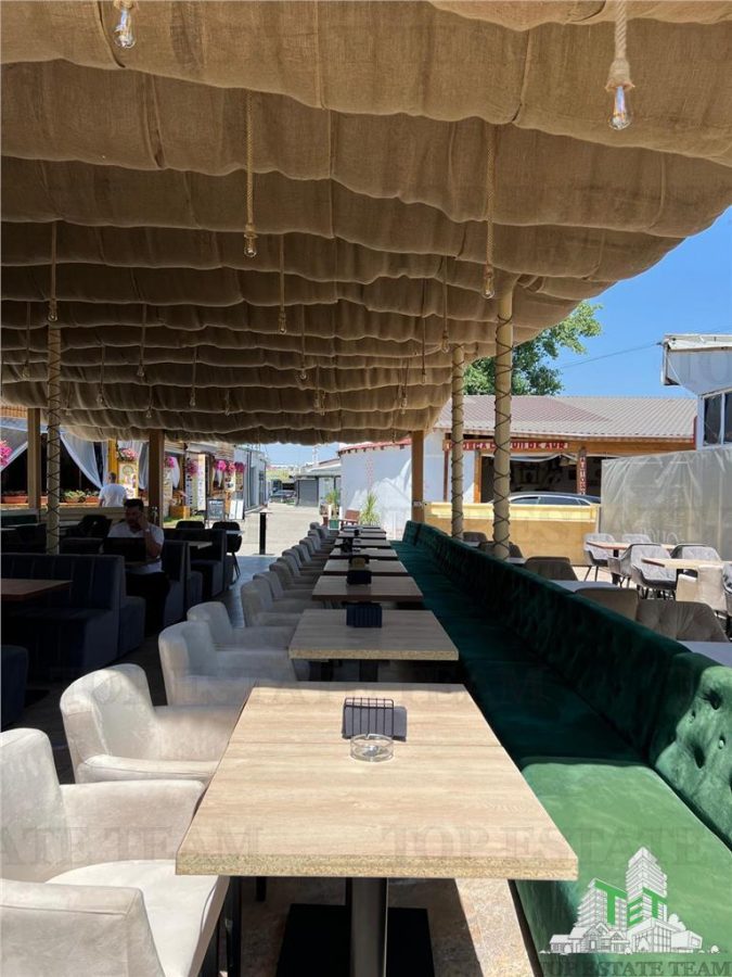 AFACERE LA CHEIE COSTINESTI - foto 3