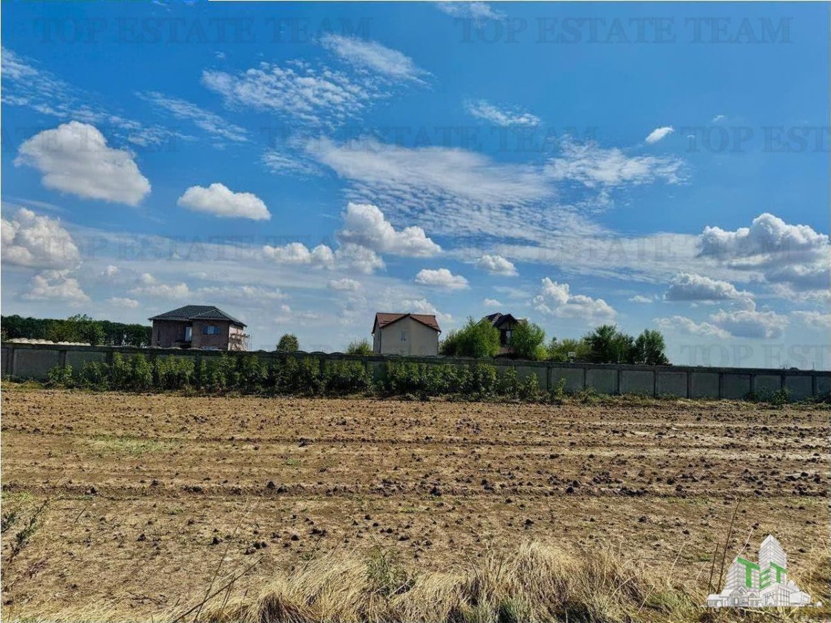 Teren de vanzare lotizat la padure cu utilitati in Frumusani / Calarasi - 