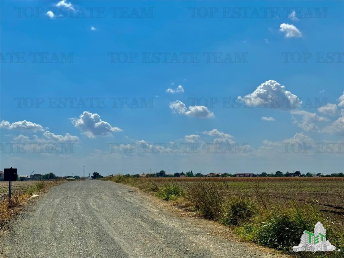Teren de vanzare lotizat la padure cu utilitati in Frumusani / Calarasi - foto 4