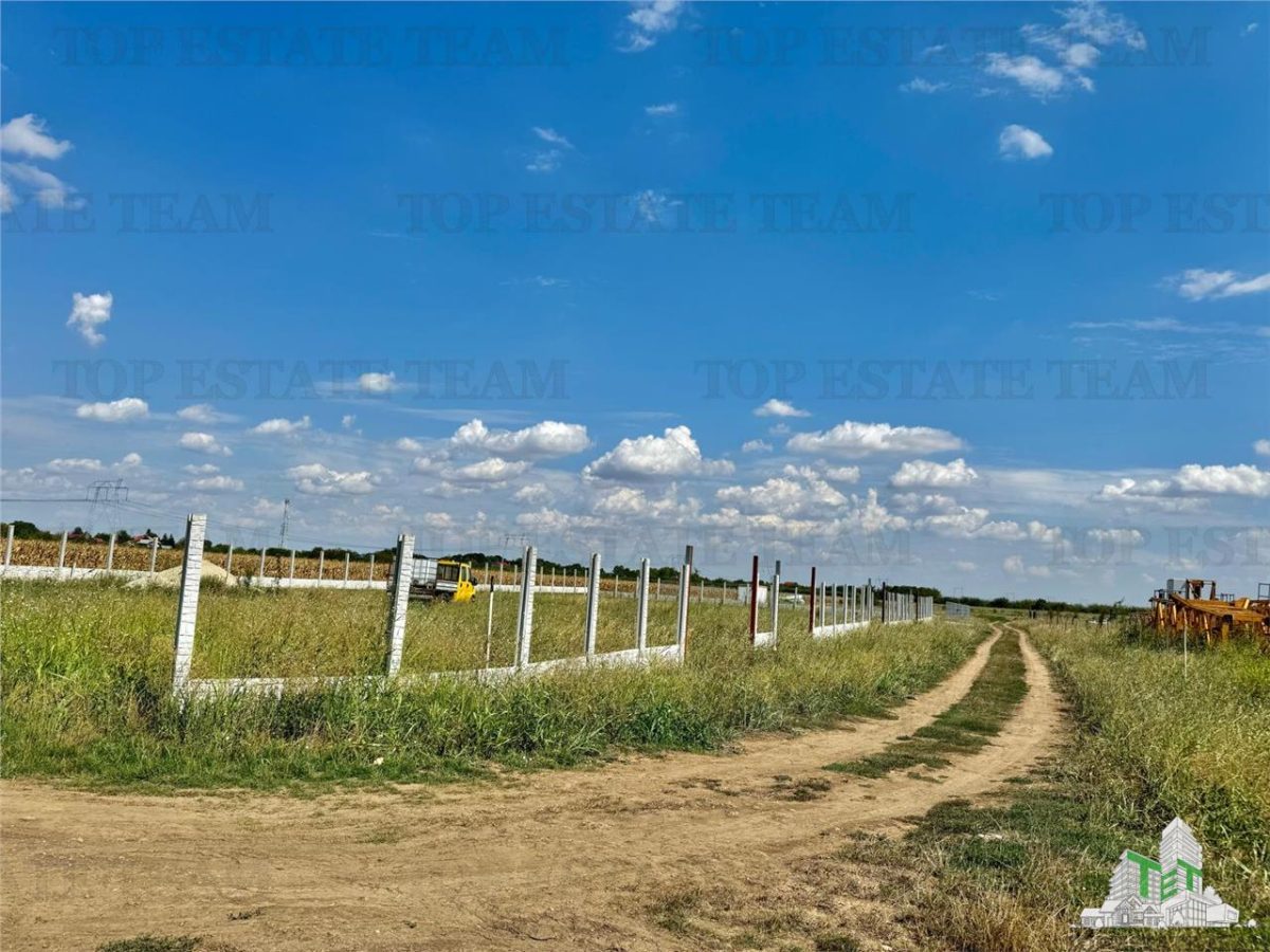 Teren 64 de parcele de vanzare /  Teren de investitie / Frumusani / Calarasi - 