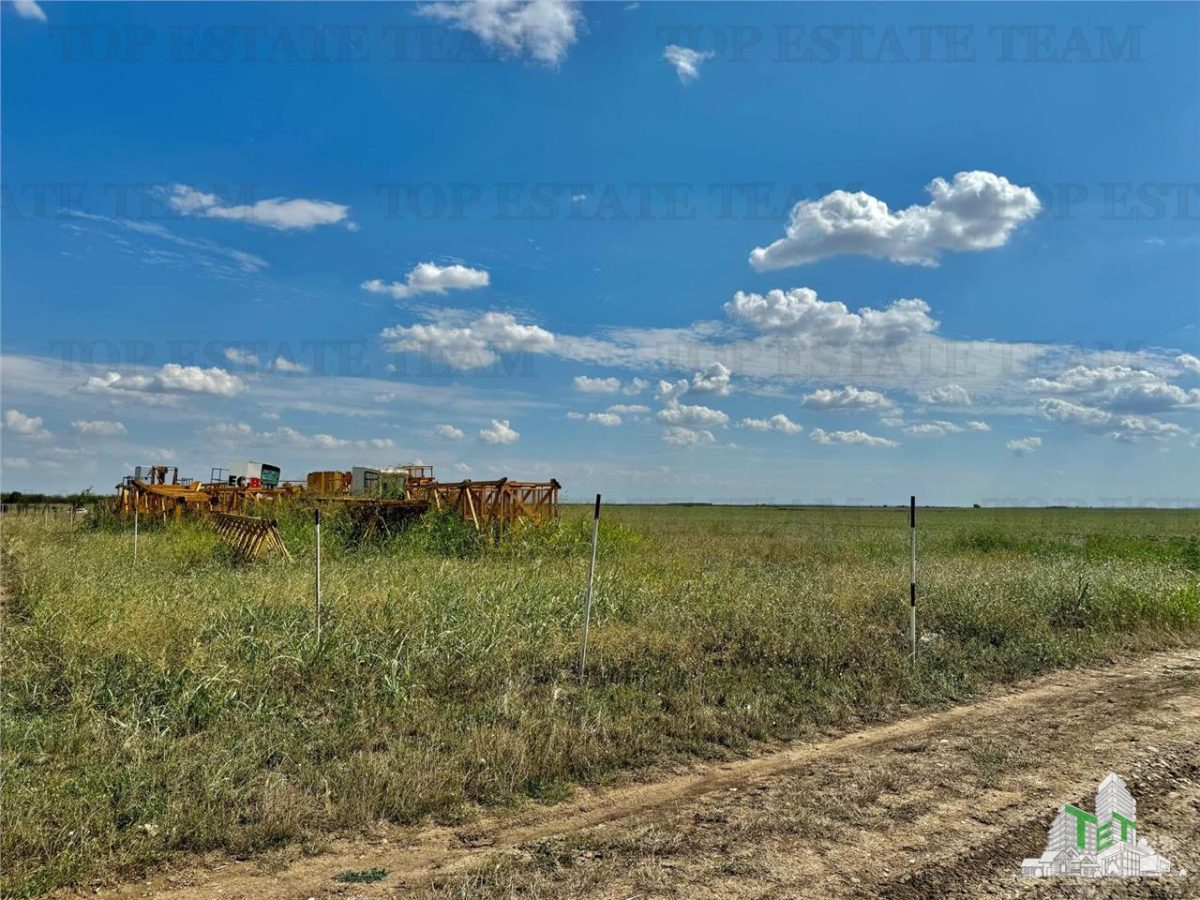 Teren 64 de parcele de vanzare /  Teren de investitie / Frumusani / Calarasi - foto 2