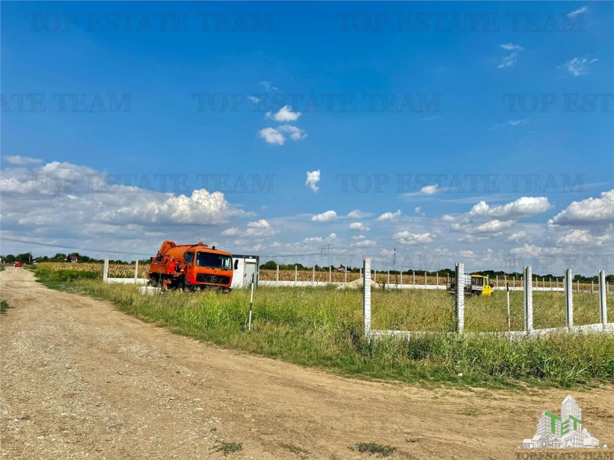 Teren 64 de parcele de vanzare /  Teren de investitie / Frumusani / Calarasi - foto 3