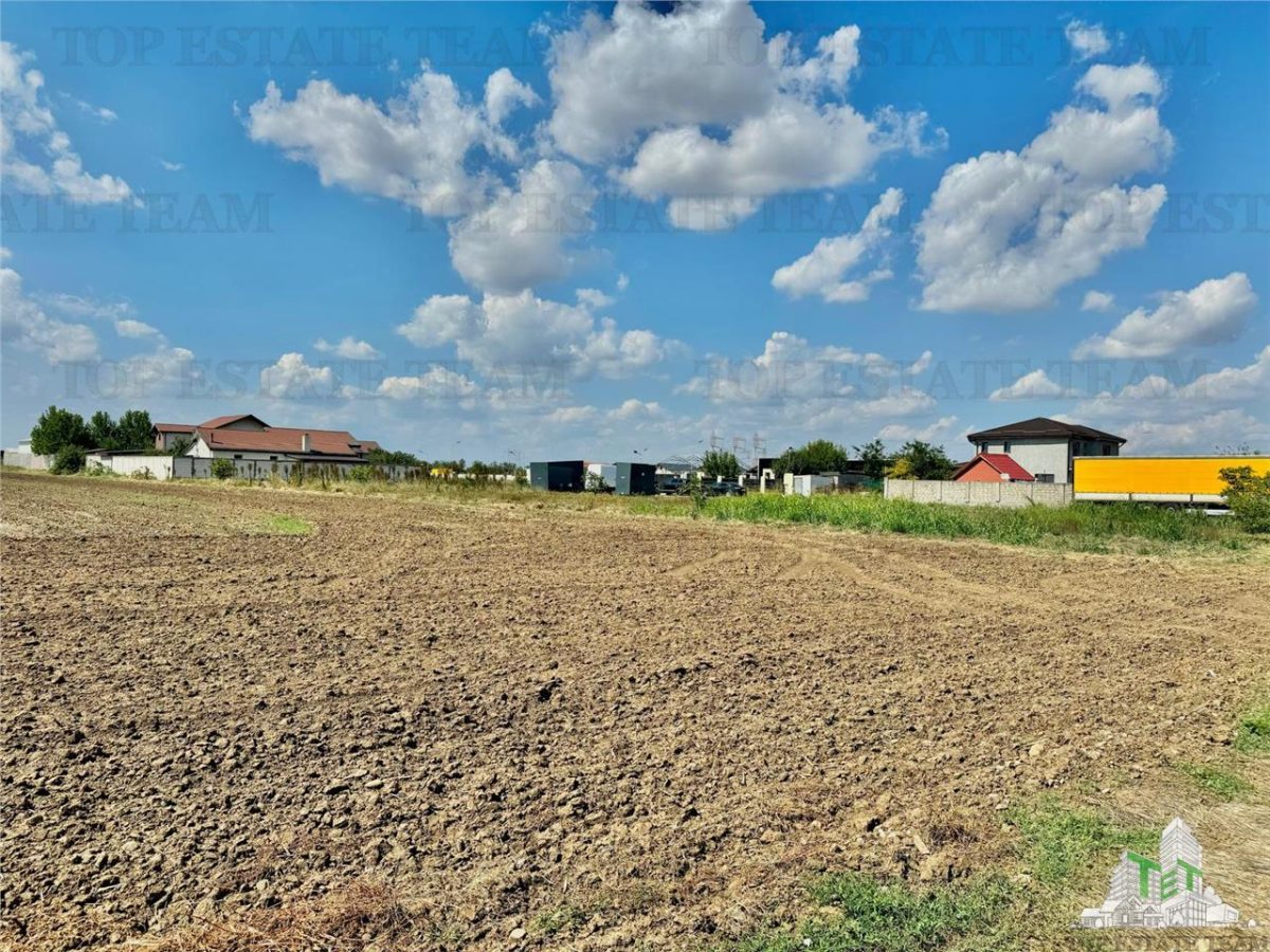 Teren 64 de parcele de vanzare /  Teren de investitie / Frumusani / Calarasi - foto 4