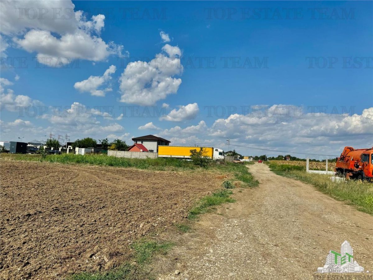 Teren 64 de parcele de vanzare /  Teren de investitie / Frumusani / Calarasi - foto 5